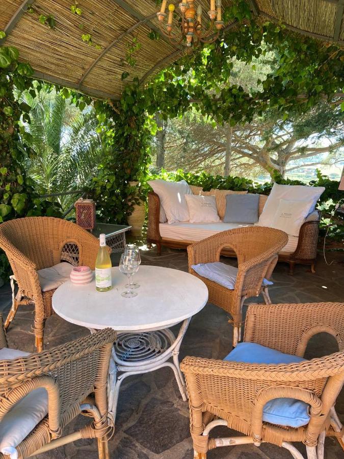B&B Villa Il Poggetto Venturina Terme Luaran gambar