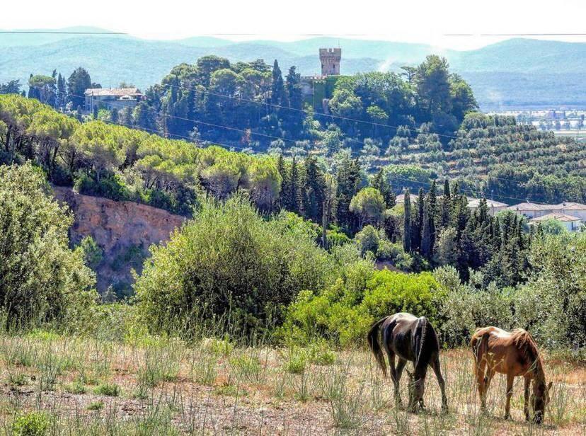 B&B Villa Il Poggetto Venturina Terme Luaran gambar