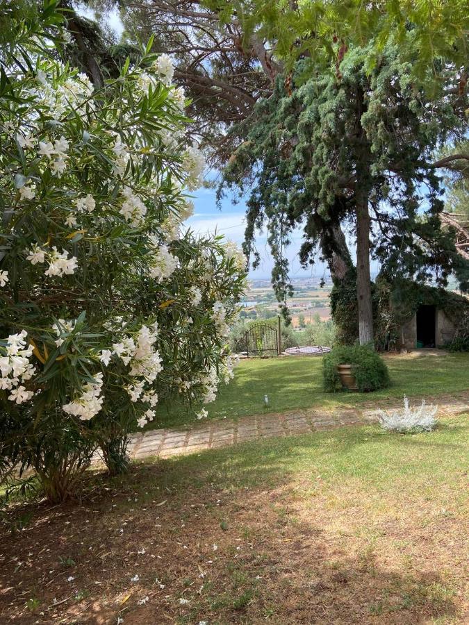 B&B Villa Il Poggetto Venturina Terme Luaran gambar