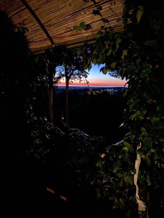 B&B Villa Il Poggetto Venturina Terme Luaran gambar
