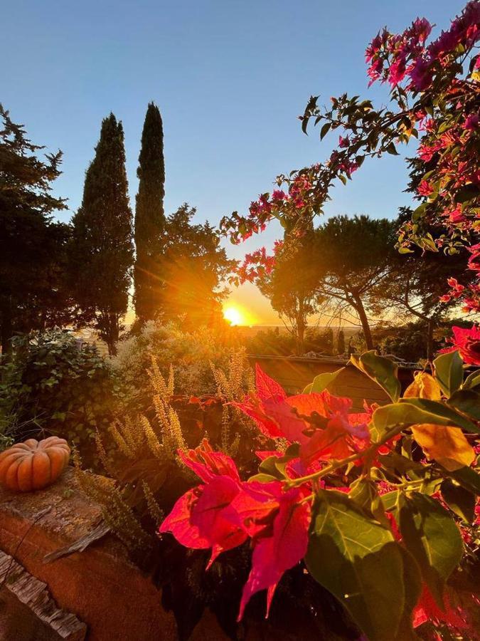 B&B Villa Il Poggetto Venturina Terme Luaran gambar