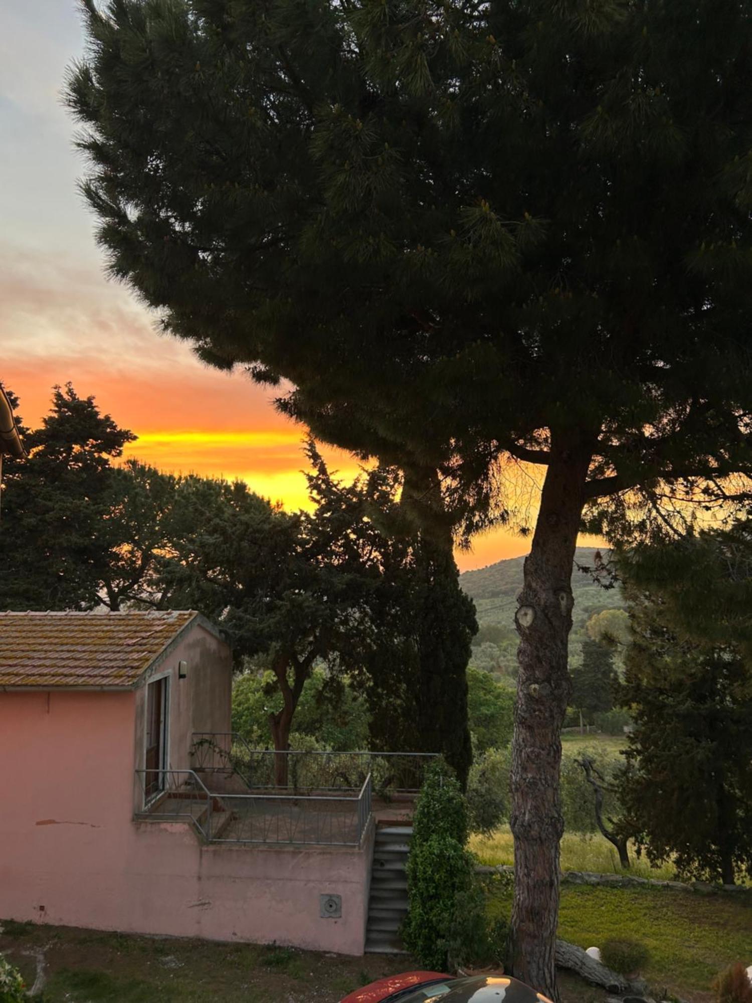 B&B Villa Il Poggetto Venturina Terme Luaran gambar