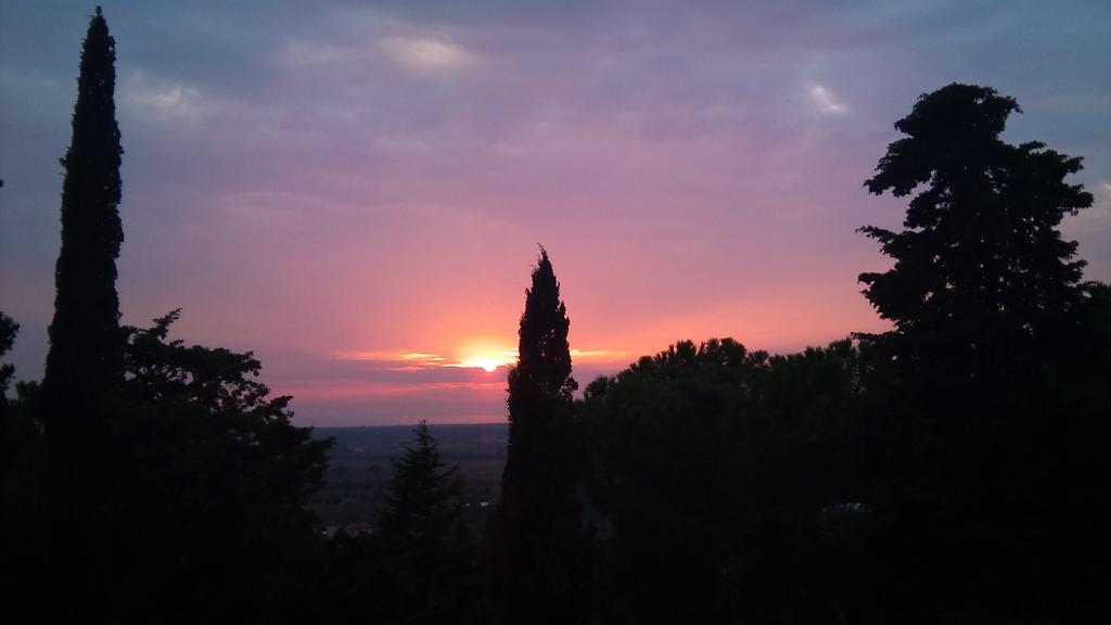 B&B Villa Il Poggetto Venturina Terme Luaran gambar