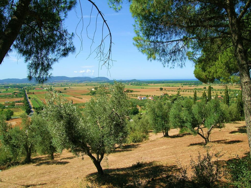 B&B Villa Il Poggetto Venturina Terme Luaran gambar
