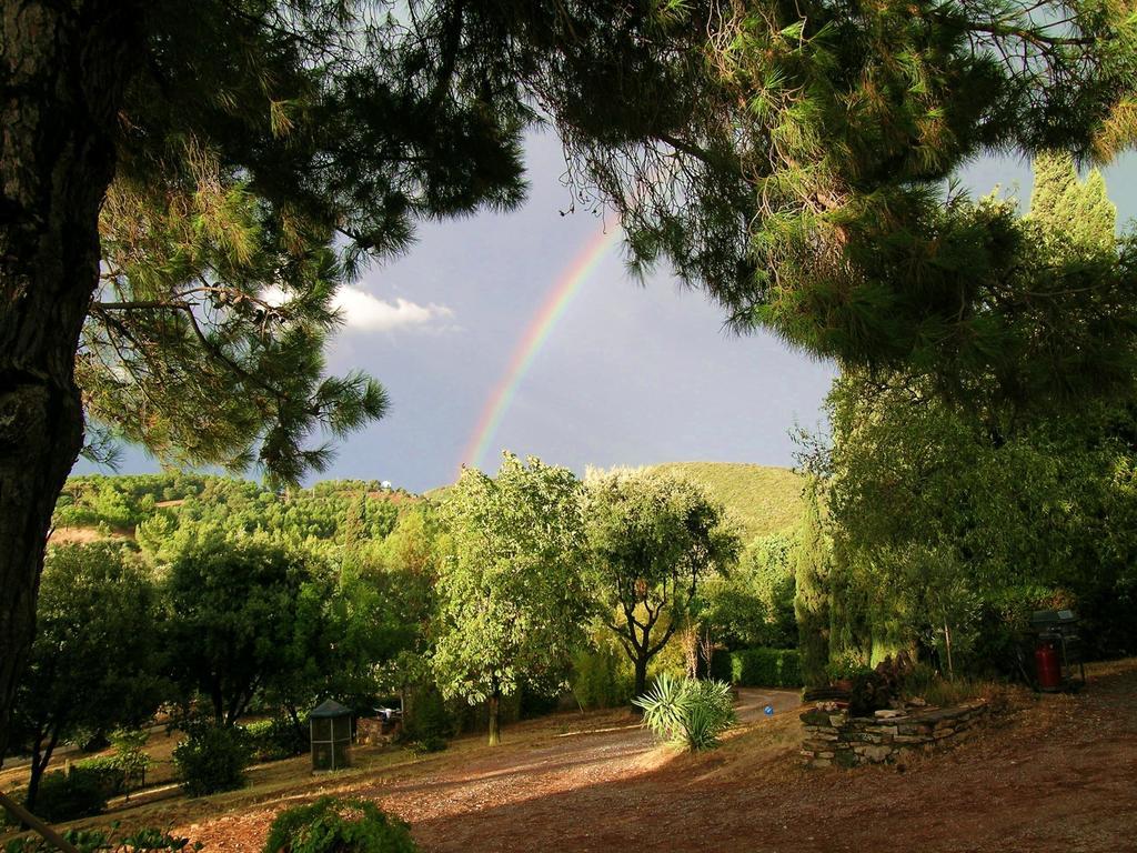 B&B Villa Il Poggetto Venturina Terme Luaran gambar